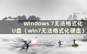 Windows 7无法格式化U盘（win7无法格式化硬盘）